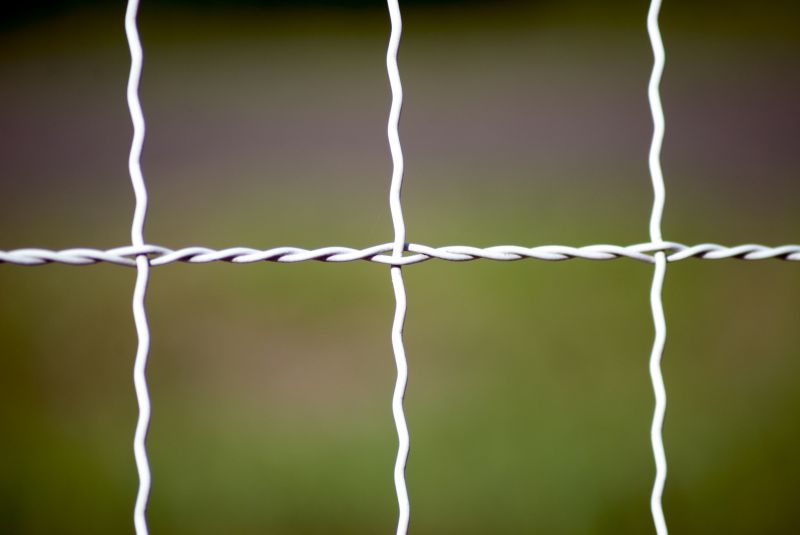 Wire Fence Replacement